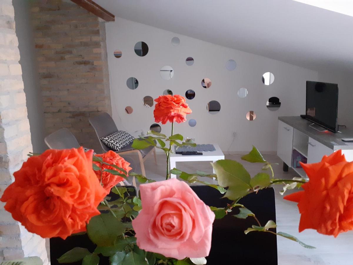 Flora Novi Sad Daire Dış mekan fotoğraf